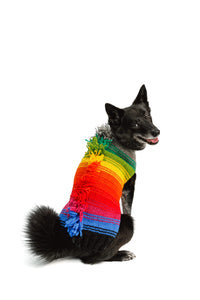 Rainbow Mohawk Wool Dog Sweater