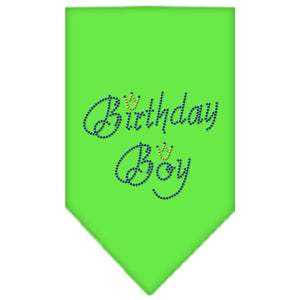 Birthday Boy Rhinestone Dog Bandana