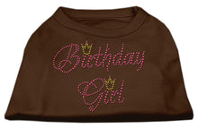 Load image into Gallery viewer, Birthday Girl Rhinestone Dog Shirt