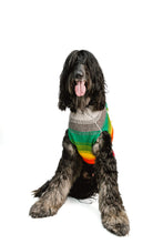 Load image into Gallery viewer, Rainbow Mohawk Wool Dog Sweater