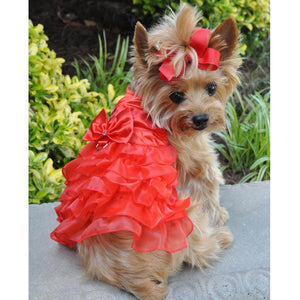 Holiday Red Satin Dog Harness Dress