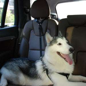 Adjustable Dog Car Headrest Restraint Seat Belt