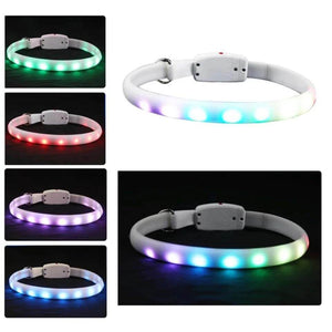 Spotlight Rechargeable LED Dog Collar