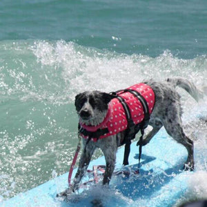 Catching Waves Reflective Dog Life Jacket