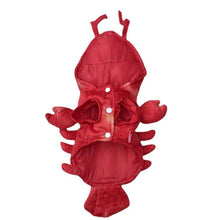 Load image into Gallery viewer, Lobster Dog Costume