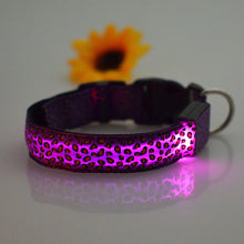 Load image into Gallery viewer, LED Leopard Dog Collar