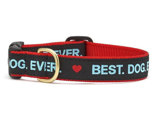 Best Dog Ever Dog Collar