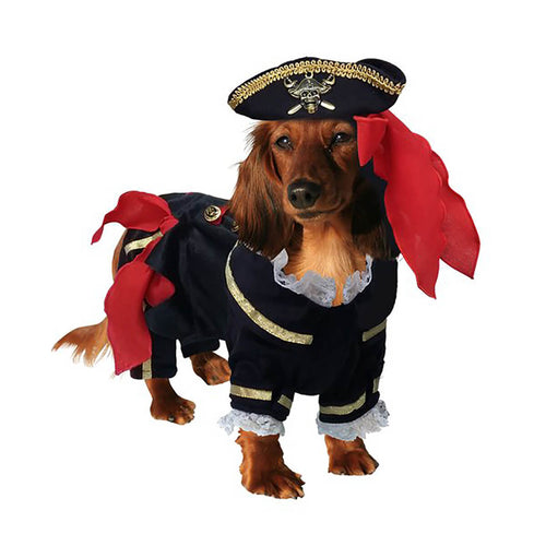 Buccaneer Pirate Dog Costume