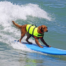 Load image into Gallery viewer, Catching Waves Reflective Dog Life Jacket