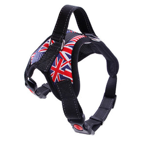 Durable Reflective Dog Harness Special Offer