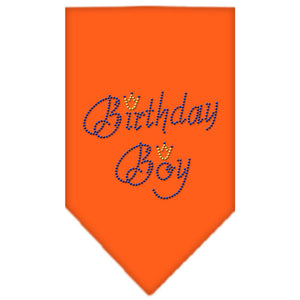 Birthday Boy Rhinestone Dog Bandana