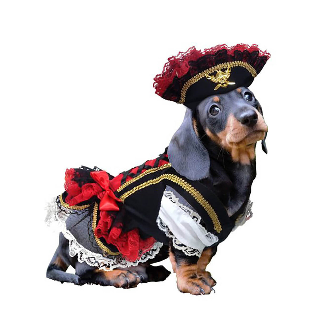 Swashbuckler Pirate Dog Costume