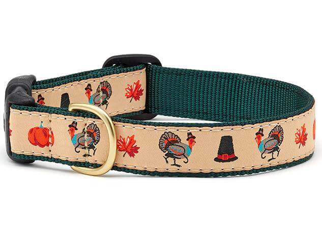 Turkey Trot Dog Collar