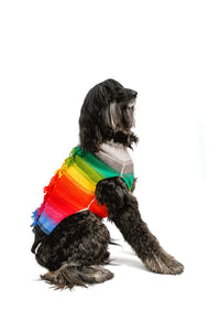 Rainbow Mohawk Wool Dog Sweater