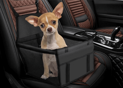 Cruise Along Dog Booster Seat