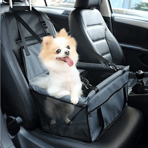 Cruise Along Dog Booster Seat