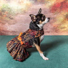 Load image into Gallery viewer, Fall Leaves Dog Harness Dress