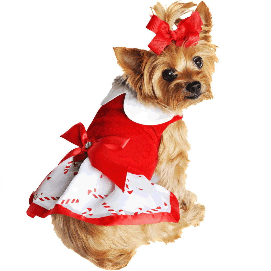 Holiday Candy Canes Dog Harness Dress