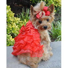 Load image into Gallery viewer, Holiday Red Satin Dog Harness Dress