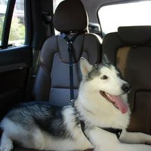 Load image into Gallery viewer, Adjustable Dog Car Headrest Restraint Seat Belt