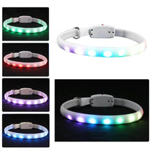 Load image into Gallery viewer, Spotlight Rechargeable LED Dog Collar