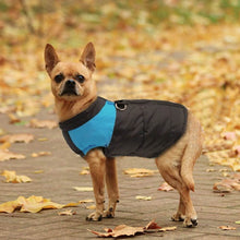 Load image into Gallery viewer, Strip Puffer Dog Jacket