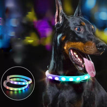 Load image into Gallery viewer, Spotlight Rechargeable LED Dog Collar