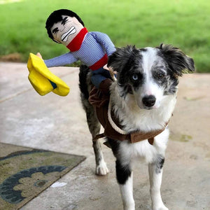 Rodeo Cowboy Dog Costume