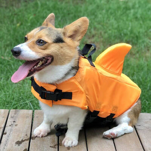 Doggo the Shark Life Jacket