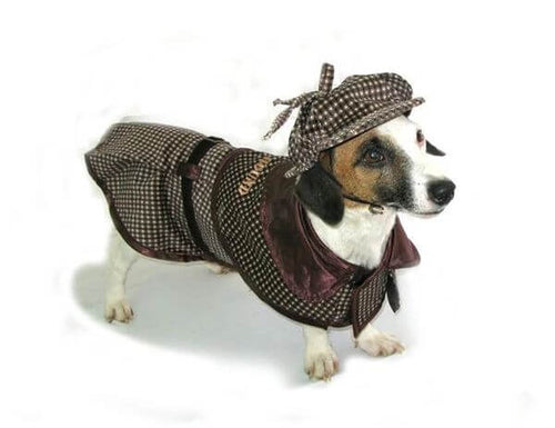 Sherlock Hound Dog Costume