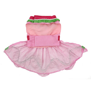 Watermelon Dog Harness Dress